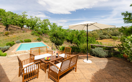 Main terrace overlooking pool and woods